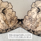 プレミアムハピネス アプリコット