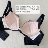 プレミアムハピネス アプリコット