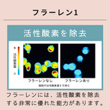 フラーレン スキンセラム(フェイス用美容液)60ml