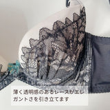 プレミアムハピネス KAGUYA