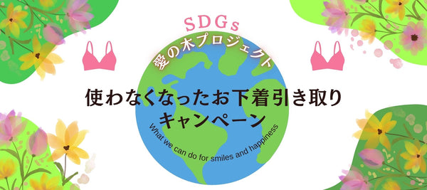 新品未使用 chabi チャビ ハピネス ブラ タンガ セット 70F 育乳 新品未使用 chabi チャビ ハピネス ブラ タンガ セット 70F 育乳 新品