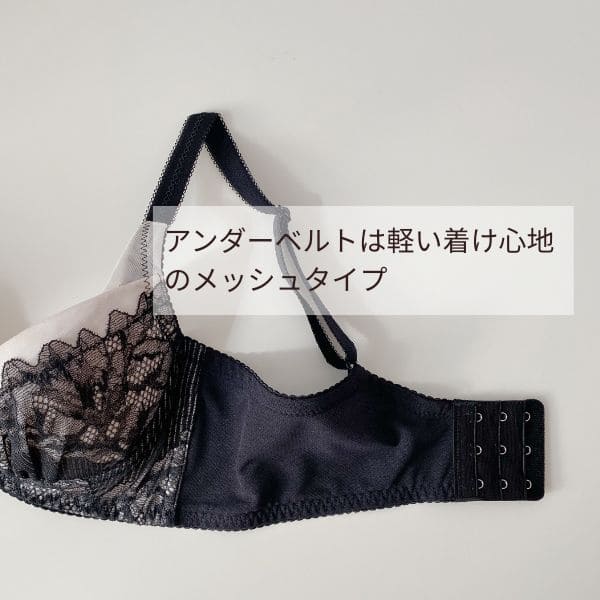 プレミアムハピネス　KAGUYA