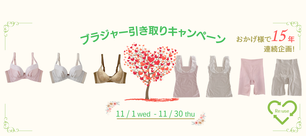 パーソナル育乳ブラ専門店 Chabi Webショップ